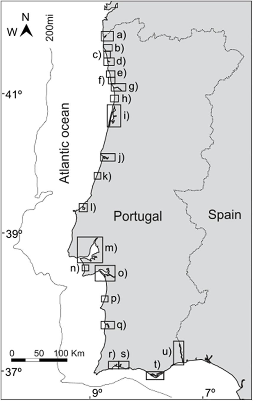 www.frontiersin.org