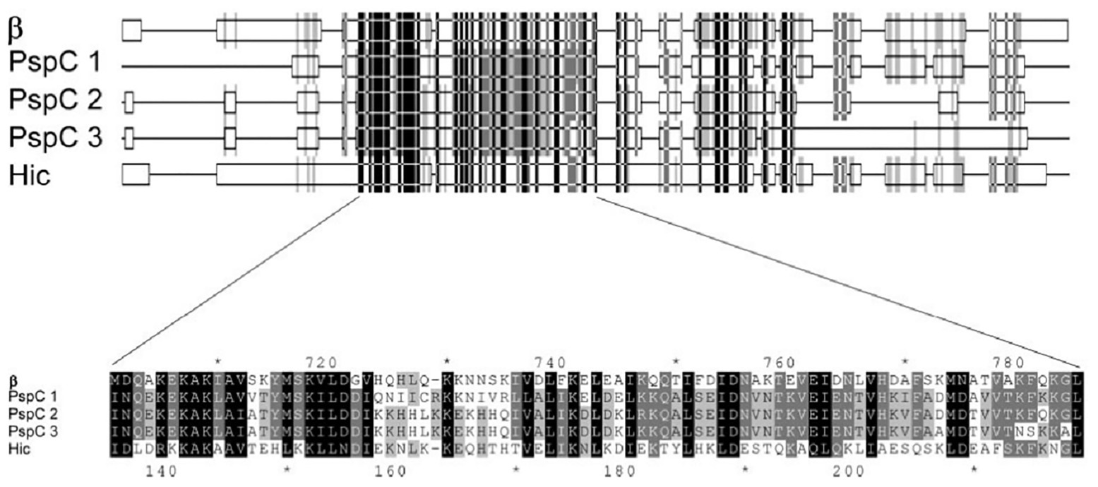 Frontiers Control Of Streptococcal Infections Is A Common Vaccine Target Achievable Against Streptococcus Agalactiae And Streptococcus Pneumoniae Microbiology