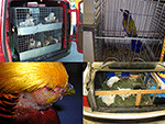 www.frontiersin.org
