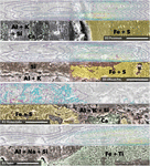 www.frontiersin.org