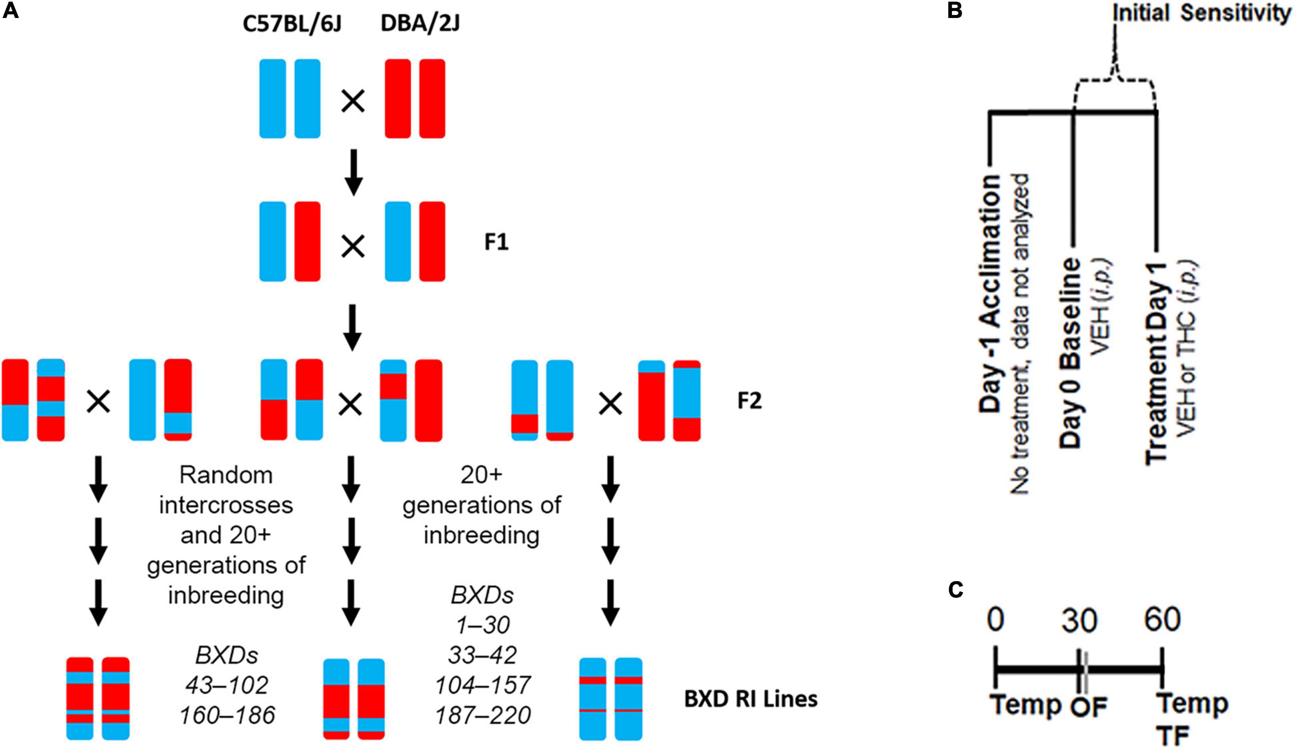 Frontiers Genetic Modulation of Initial Sensitivity to Δ9-Tetrahydrocannabinol (THC) Among the BXD Family of Mice