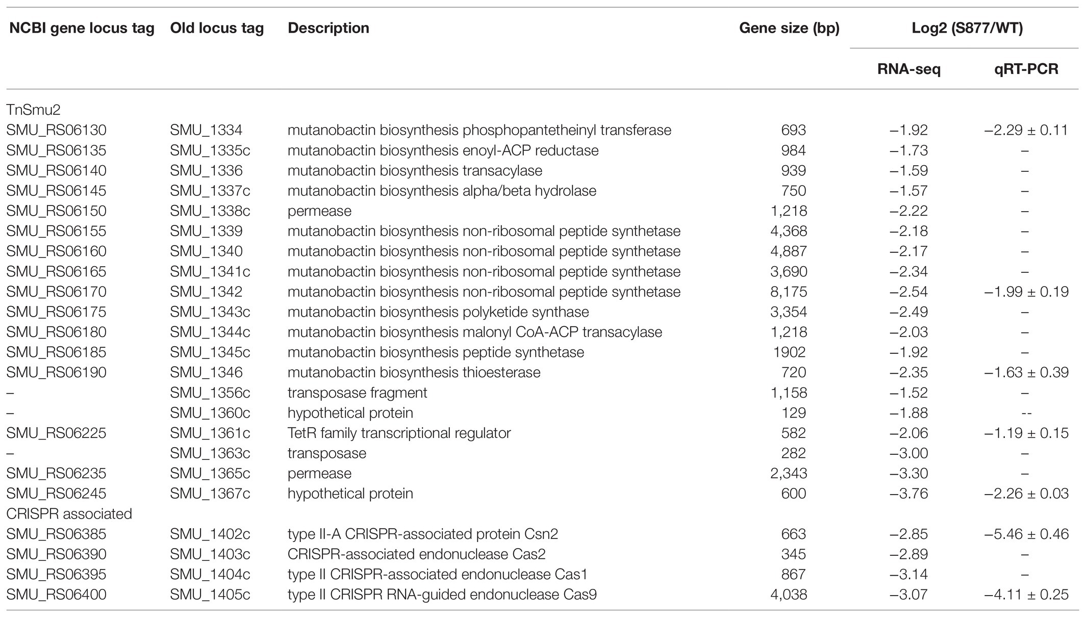Frontiers | Characterization of FtsH Essentiality in Frontiers | Characterization of FtsH Essentiality in