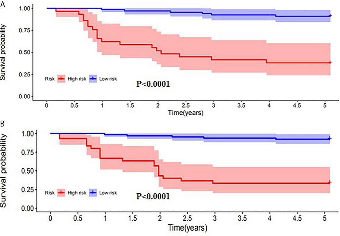 Frontiers Markers Of Prognosis For Early Stage Cervical Cancer