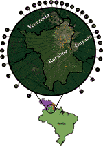 www.frontiersin.org