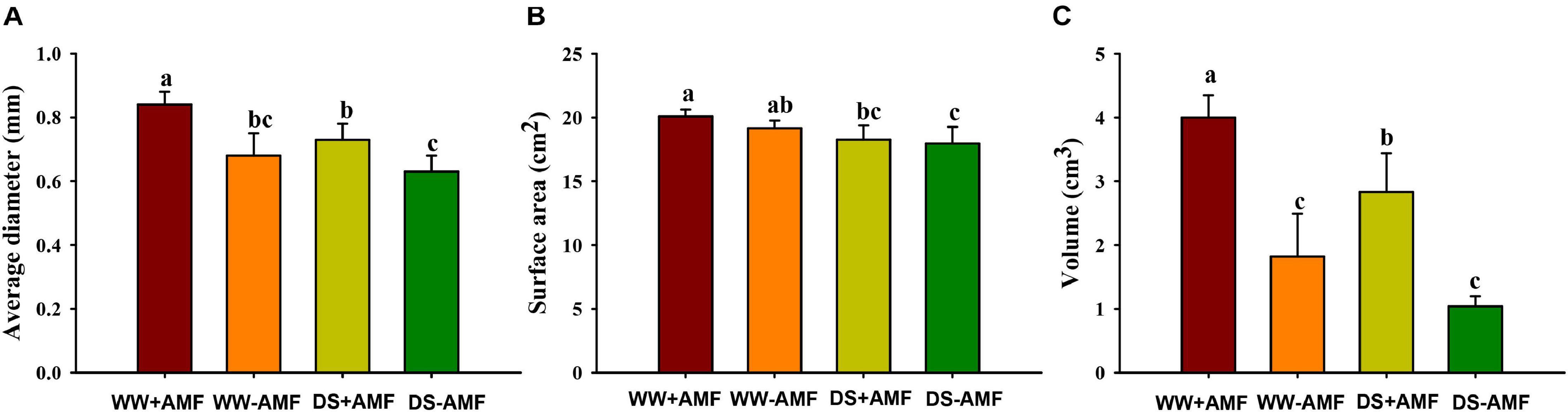 Frontiers Arbuscular Mycorrhizal Fungi Alleviate Drought Stress In Trifoliate Orange By Regulating H Atpase Activity And Gene Expression Plant Science