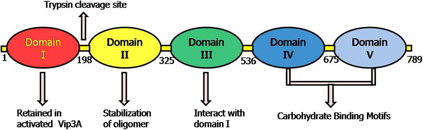 www.frontiersin.org
