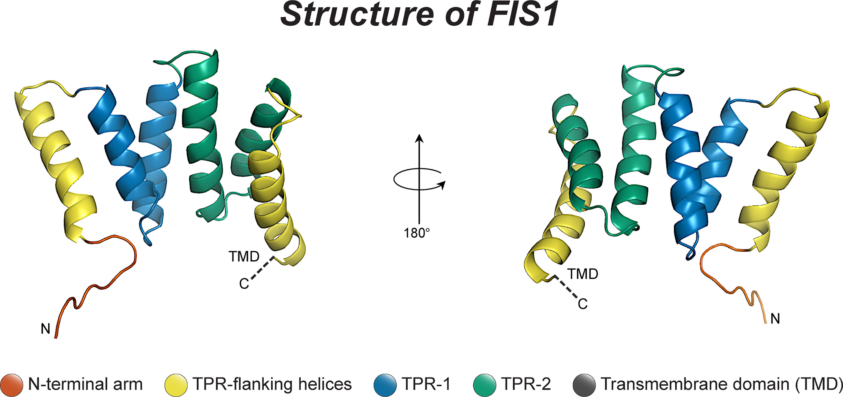 12 sound transmission flanking paths - HGC Engineering