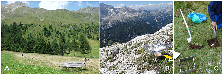 Figure 1 - In the European Alps, centuries of traditional farming created species-rich grassland soils.