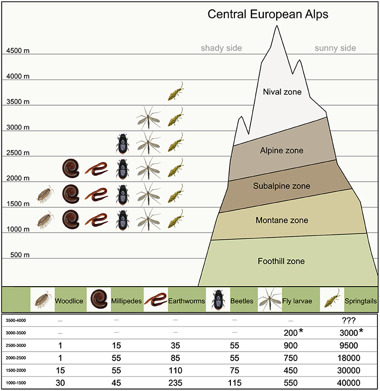 Figure 3 - Distribution of typical soil invertebrates at the various elevation zones of the Central European Alps.