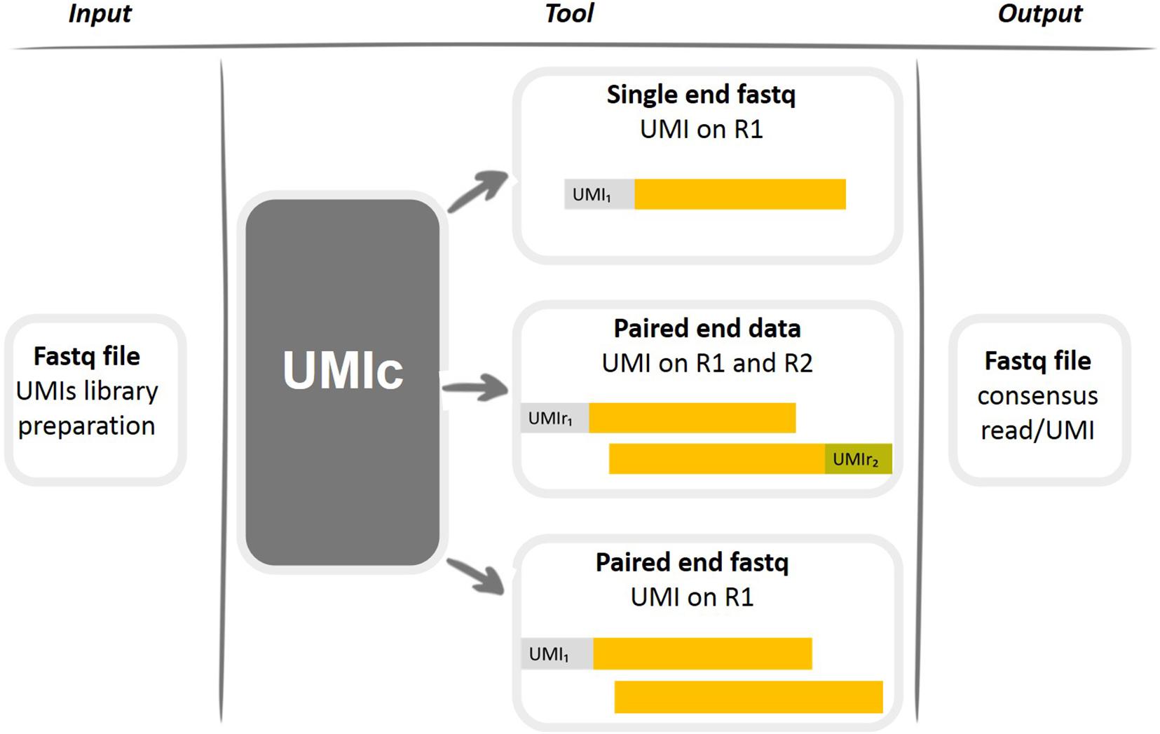 umi number meaning dissertation