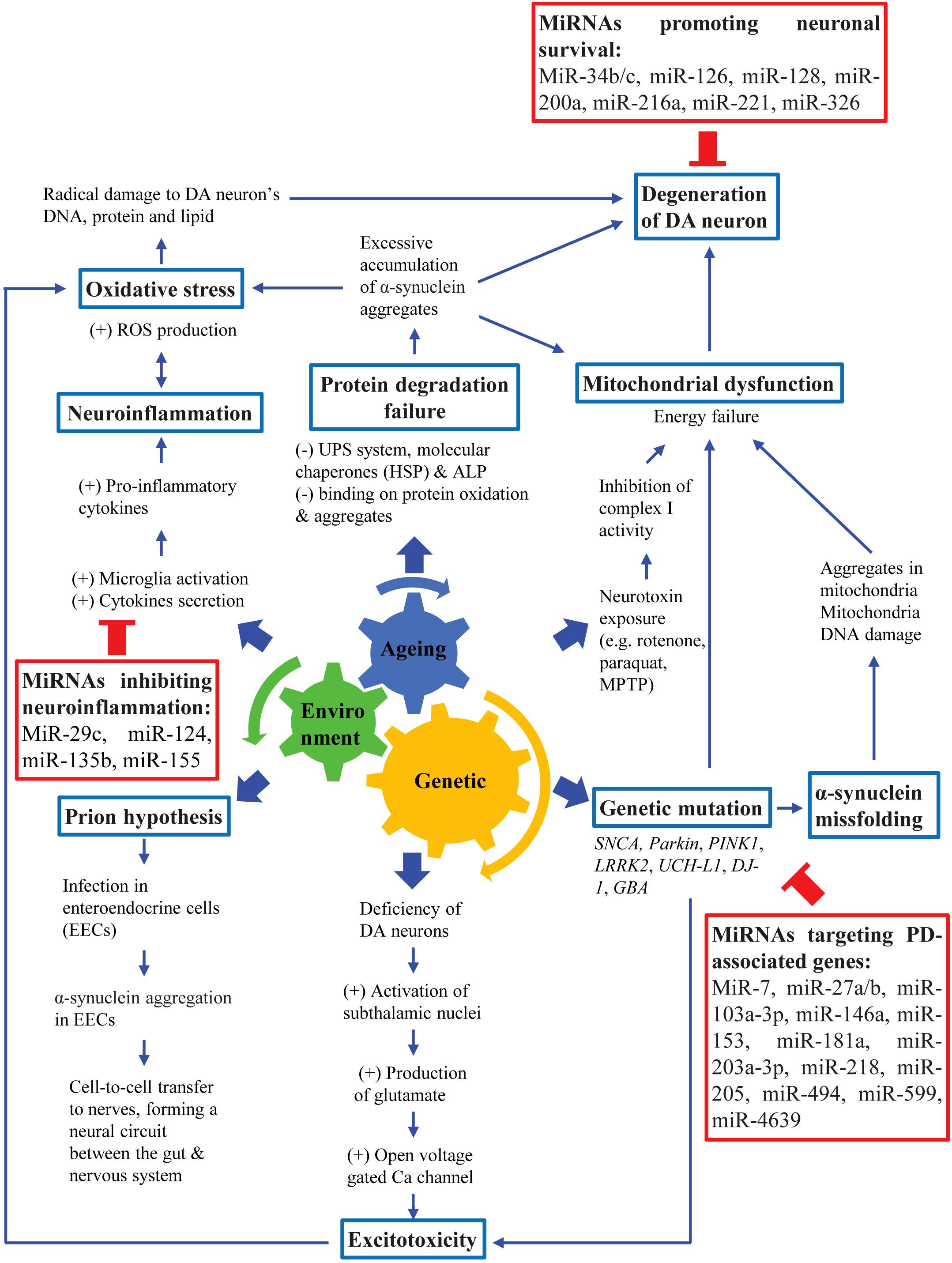 Imaging biomarkers in Parkinson's disease and Parkinsonian