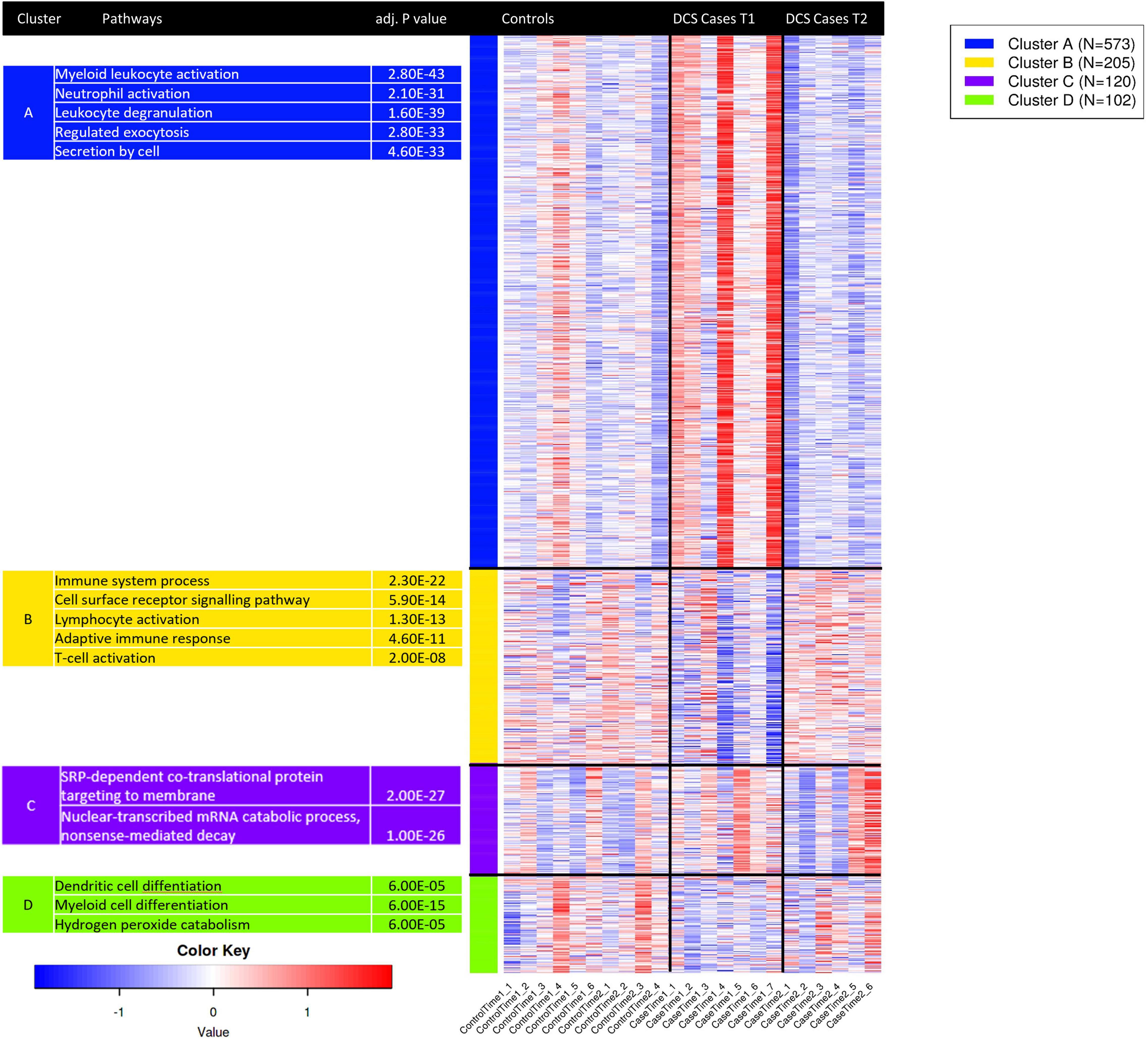 Frontiers Acute Effects On The Human Peripheral Blood Transcriptome Of Decompression Sickness Secondary To Scuba Diving Physiology