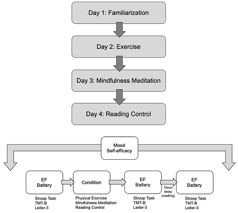 17 Mindfulness & Meditation Exercises - PositivePsychology.com