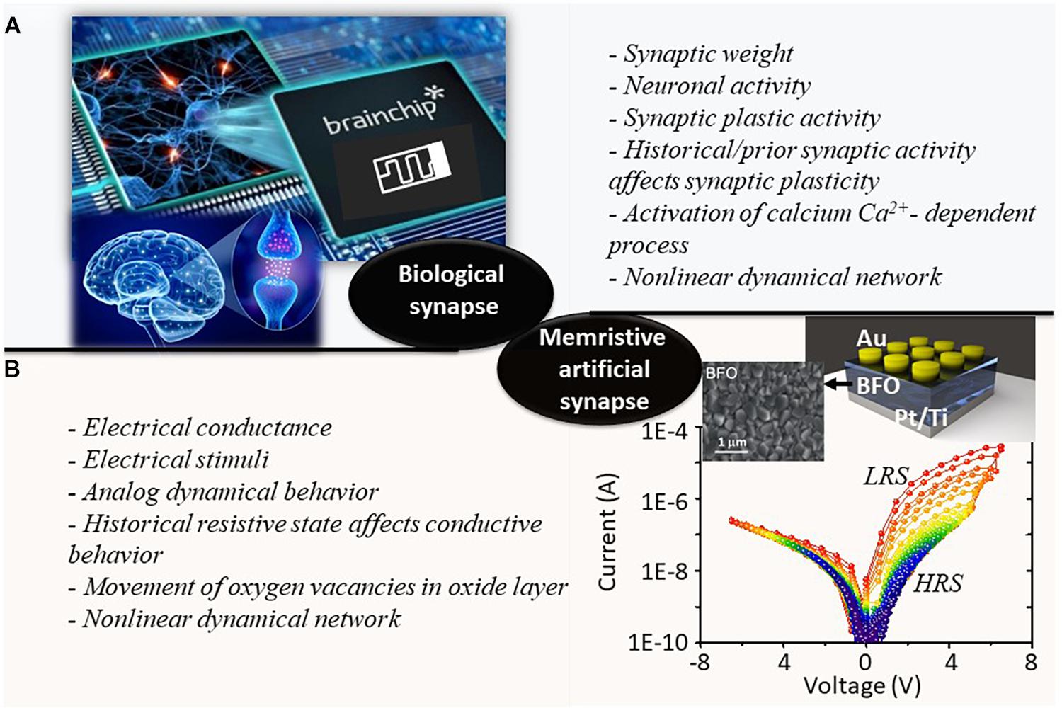 Nanoelectronic Programmable Synapses Based on Phase Change