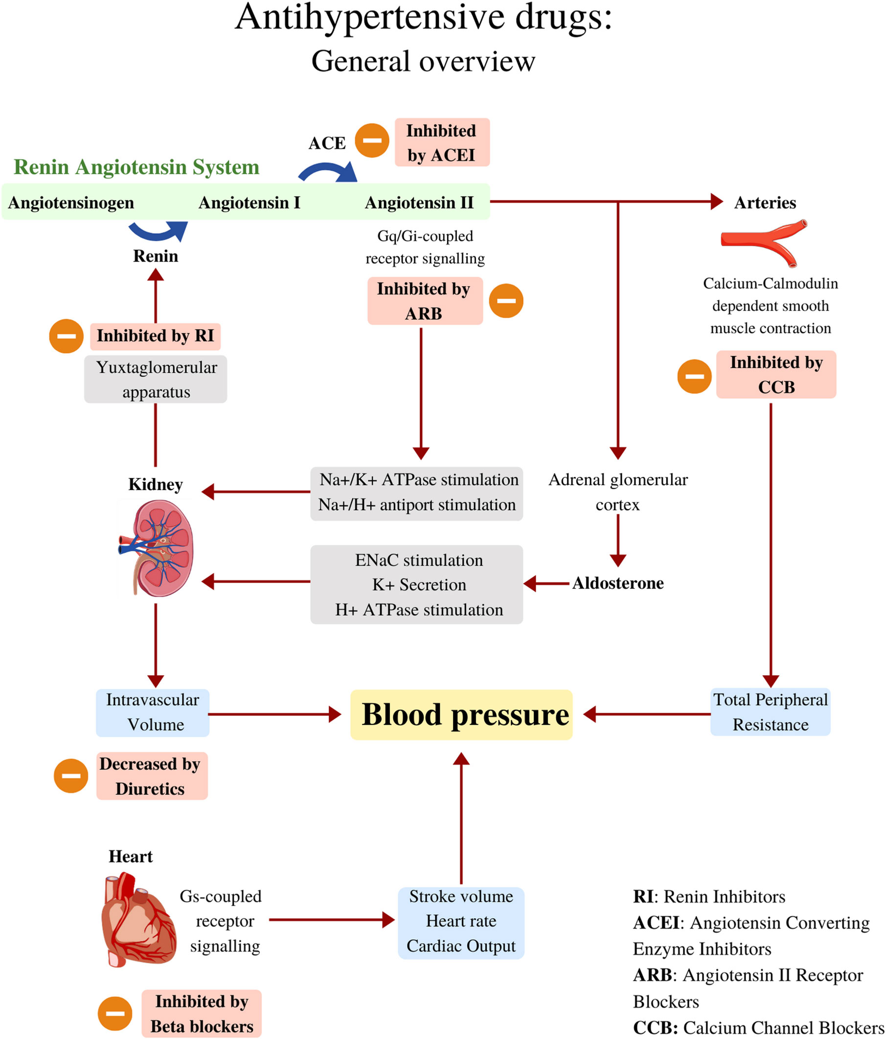 antihypertensive drugs diabetes)