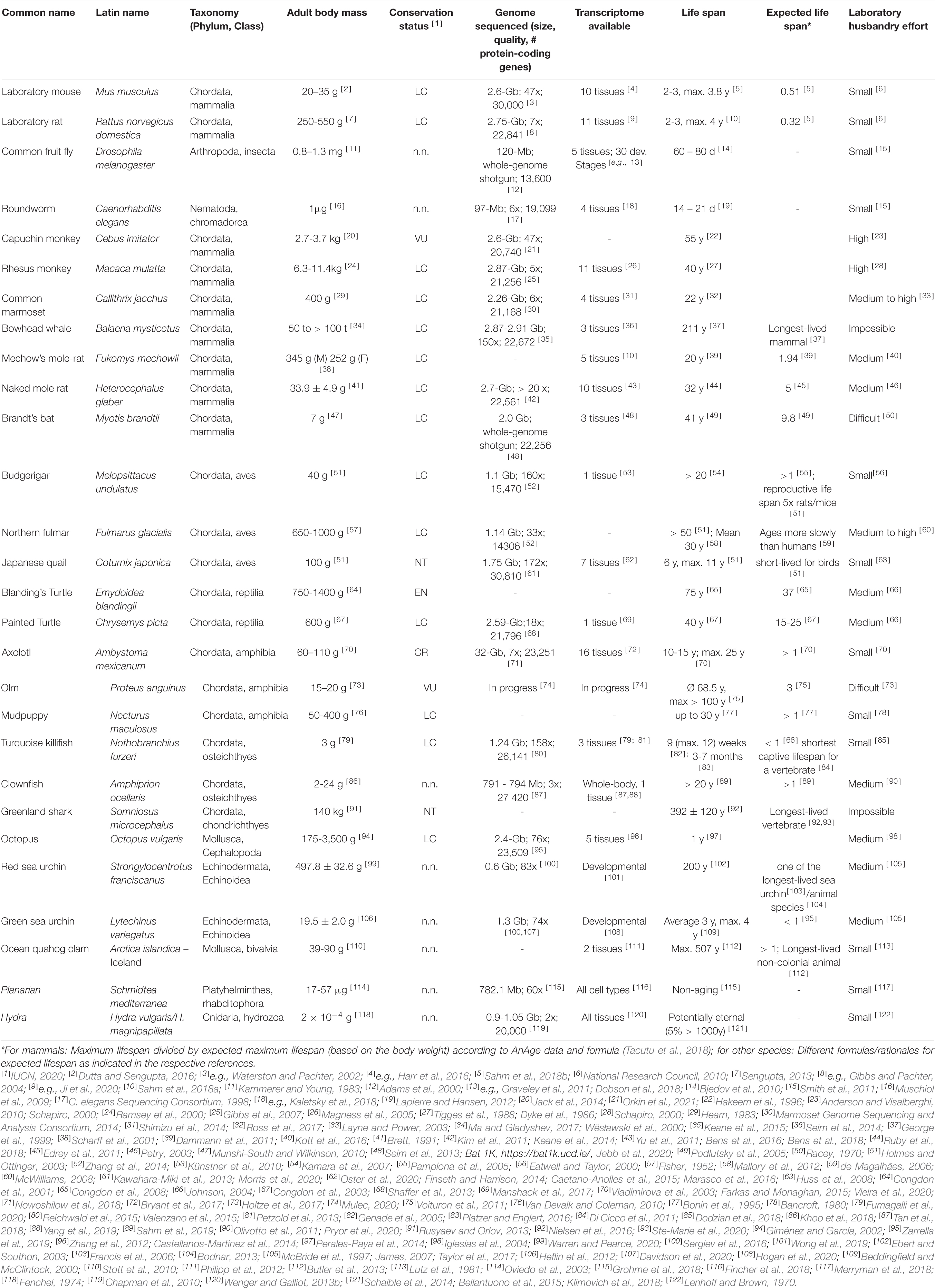 Frontiers Alternative Animal Models Of Aging Research Molecular Biosciences