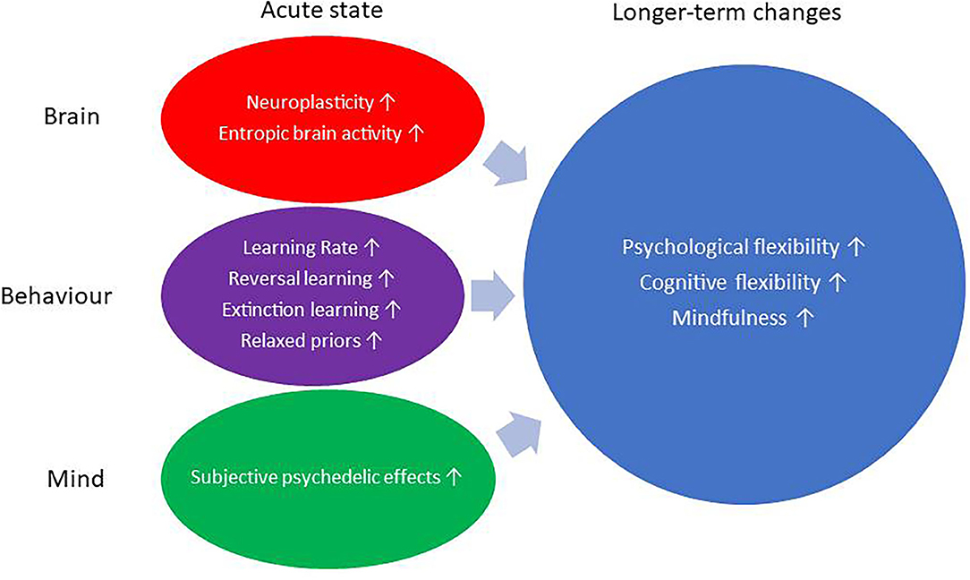 Psychedelics As A Treatment For Depression Disease Dementia