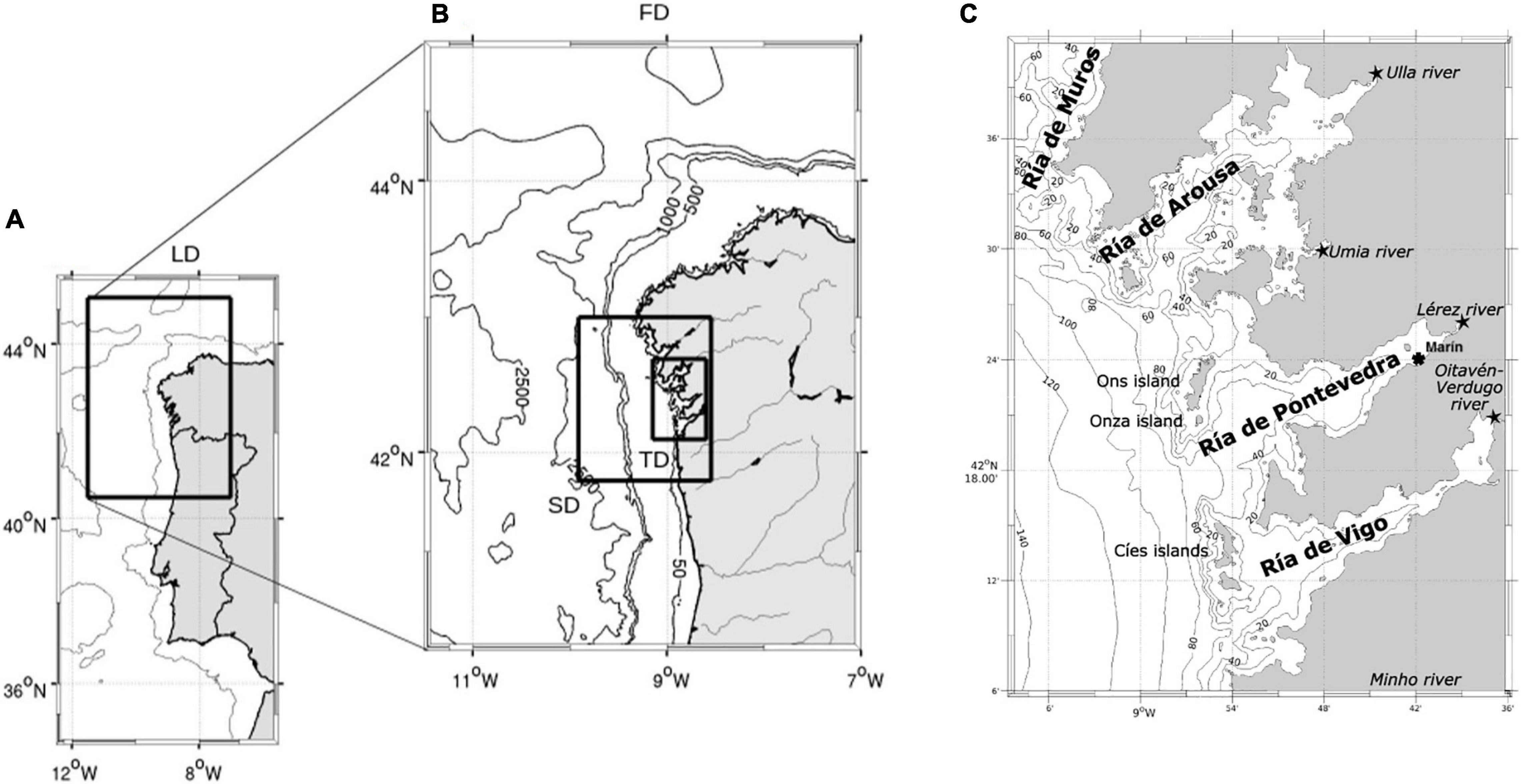 Frontiers | A High-Resolution Modeling Study of the Circulation Patterns at a Coastal Embayment: de Pontevedra (NW Spain) Under Upwelling and Downwelling Conditions | Marine