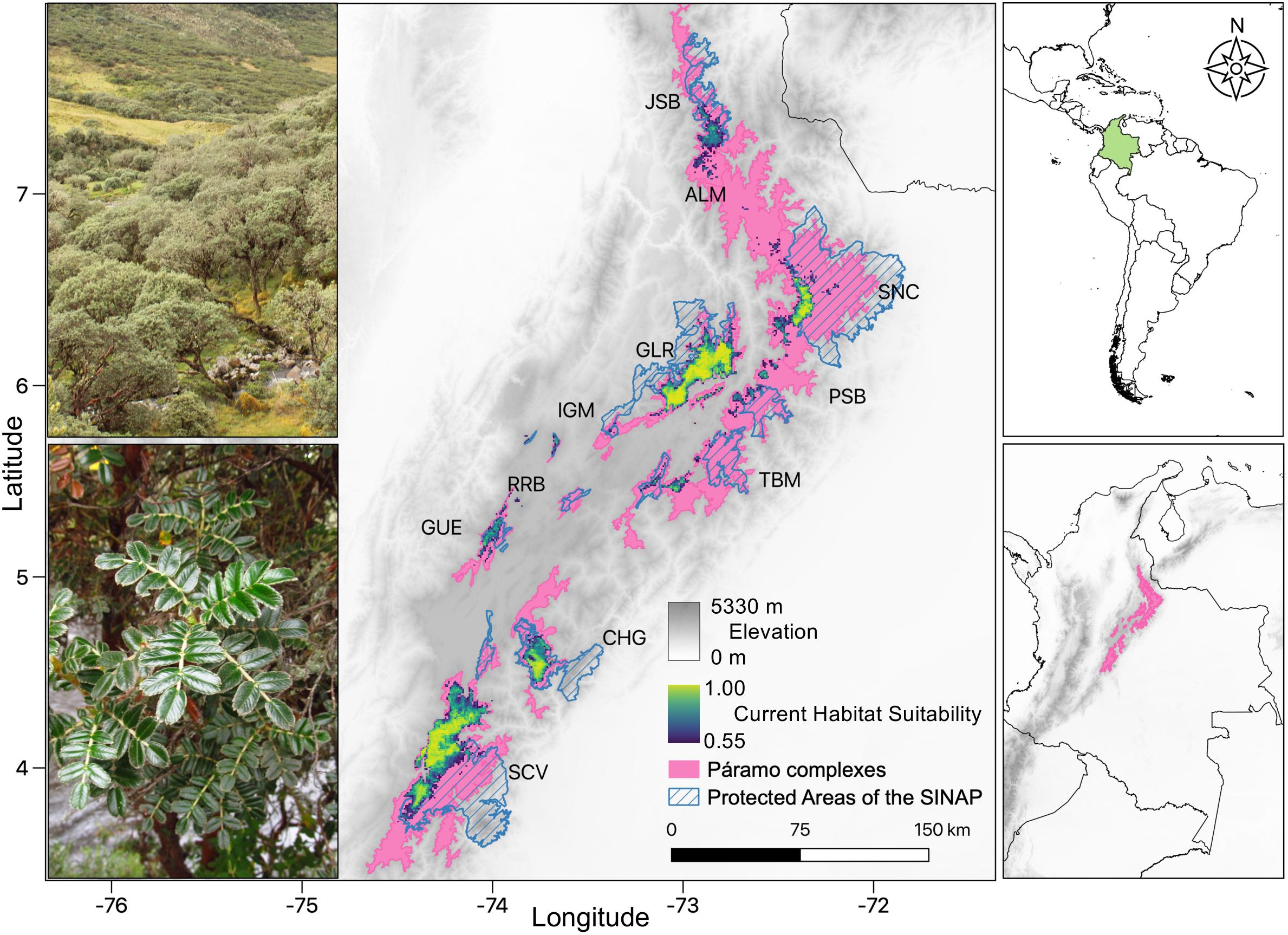 Predicting the Uncertain Future of Tropical Forest Species in a