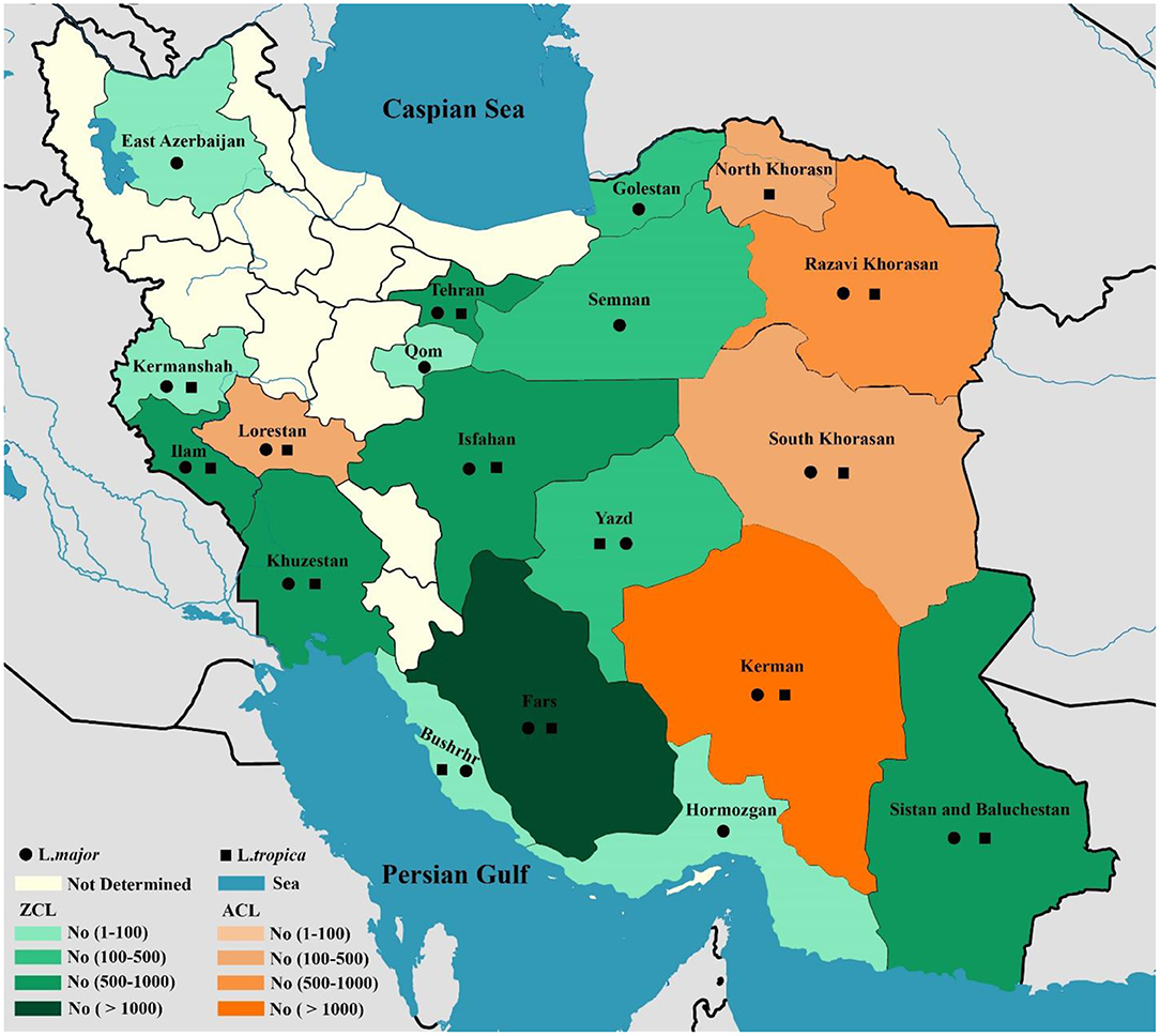 www.frontiersin.org