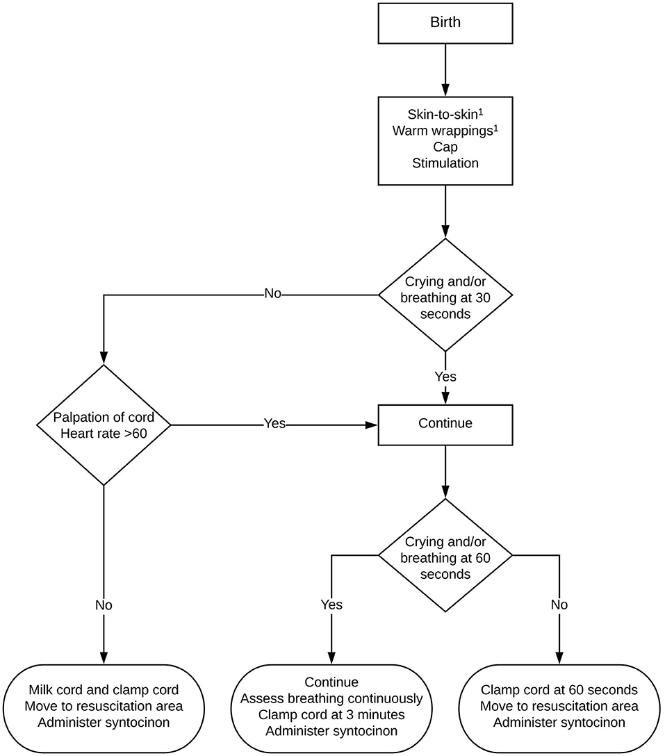 Frontiers  Implementation of Delayed Cord Clamping for 3 Min During Term Cesarean  Sections Does Not Influence Maternal Blood Loss