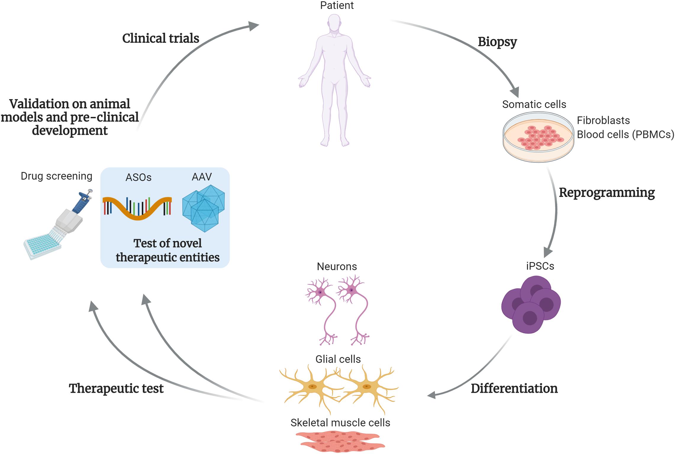 Dual Purpose Vectors for Rare Neurological Diseases: Molecular Therapy