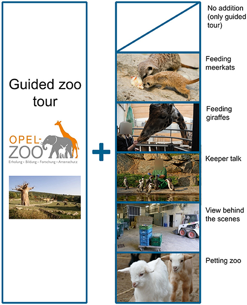 Figure 2 - After an initial measurement of students’ connections to nature using the INS, a regular zoo tour was conducted.
