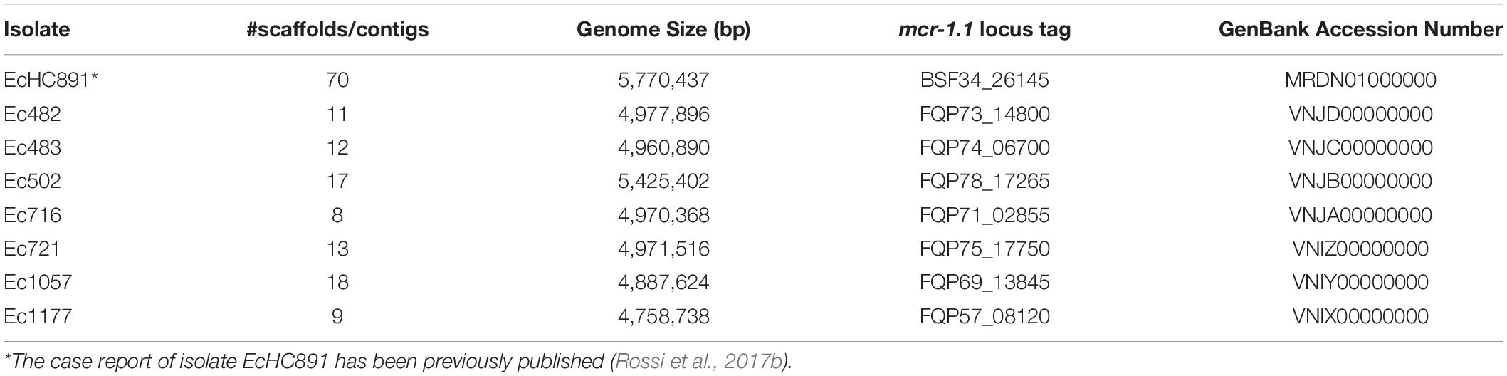 Frontiers  Genomic Characterization of mcr-1.1-Producing Escherichia coli  Recovered From Human Infections in São Paulo, Brazil