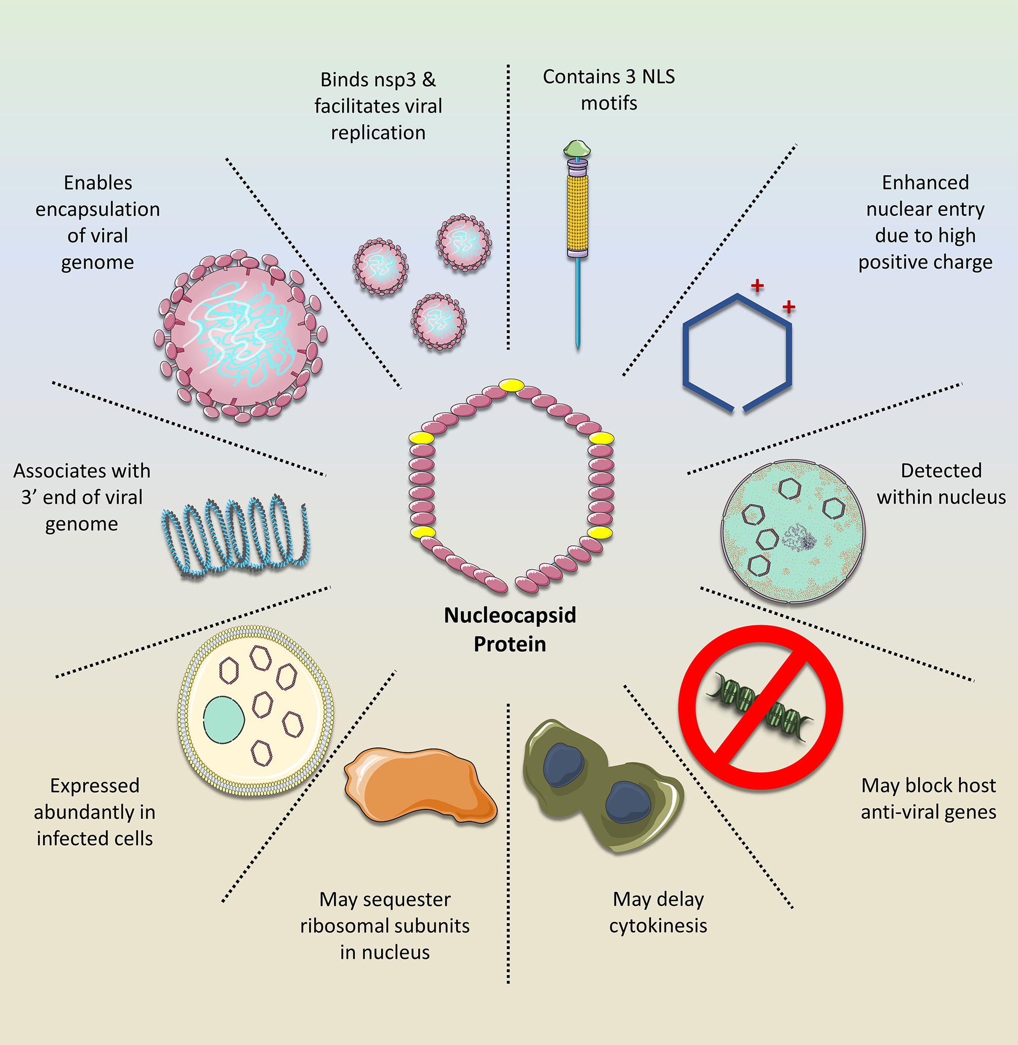 Pil ivermectin