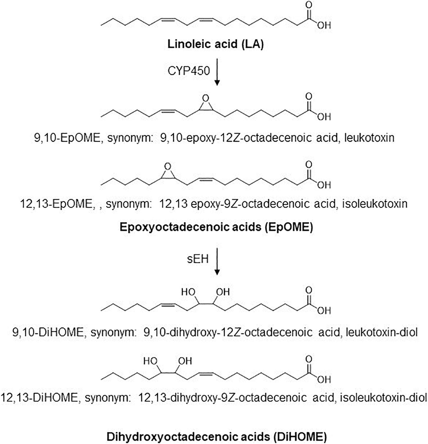 Frontiers | Plasma Linoleate Diols Are Potential Infections Biomarkers Severe COVID-19 for