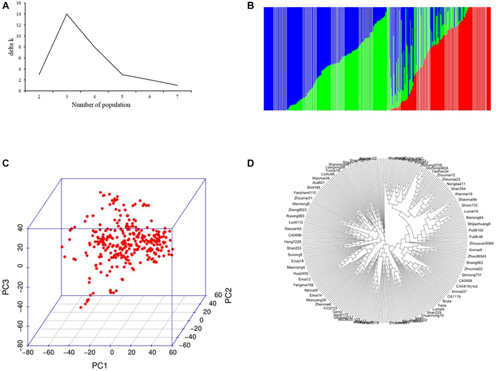 Frontiers  Genome-Wide Association Study Uncover the Genetic Architecture  of Salt Tolerance-Related Traits in Common Wheat (Triticum aestivum L.)