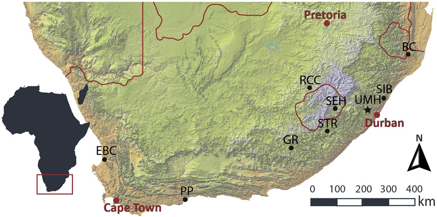 Frontiers | Making Invisible Stratigraphy Visible: A Grid-Based, Multi-Proxy Geoarchaeological Study of Umhlatuzana Rockshelter, South