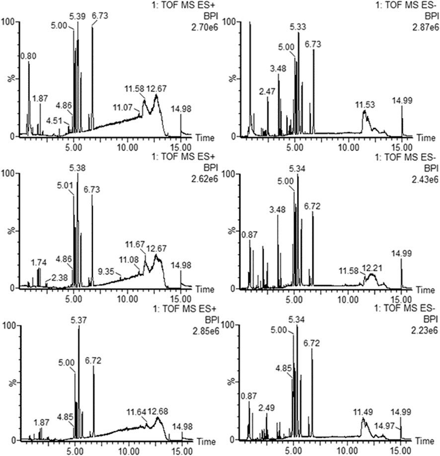 Typical BPI of feces samples in positive ESI mode. (A) Control group;