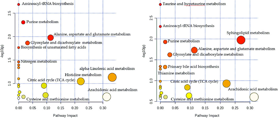 Typical BPI of feces samples in positive ESI mode. (A) Control group;