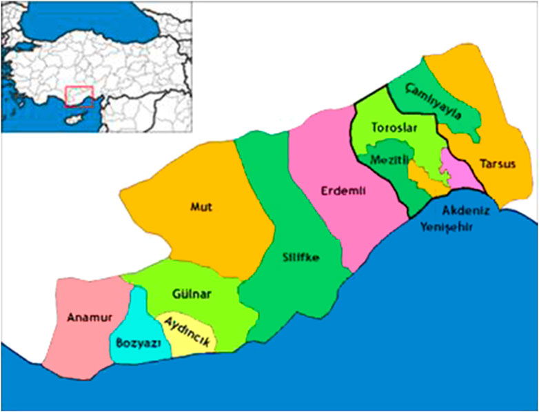 frontiers an ethnobotanical study of medicinal plants in mersin turkey pharmacology