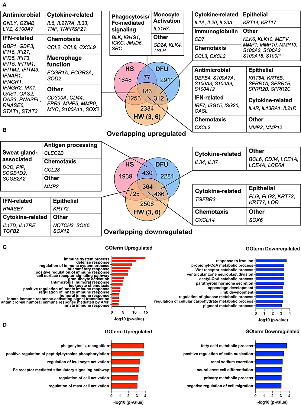 Simple gene signature to assess murine fibroblast polarization