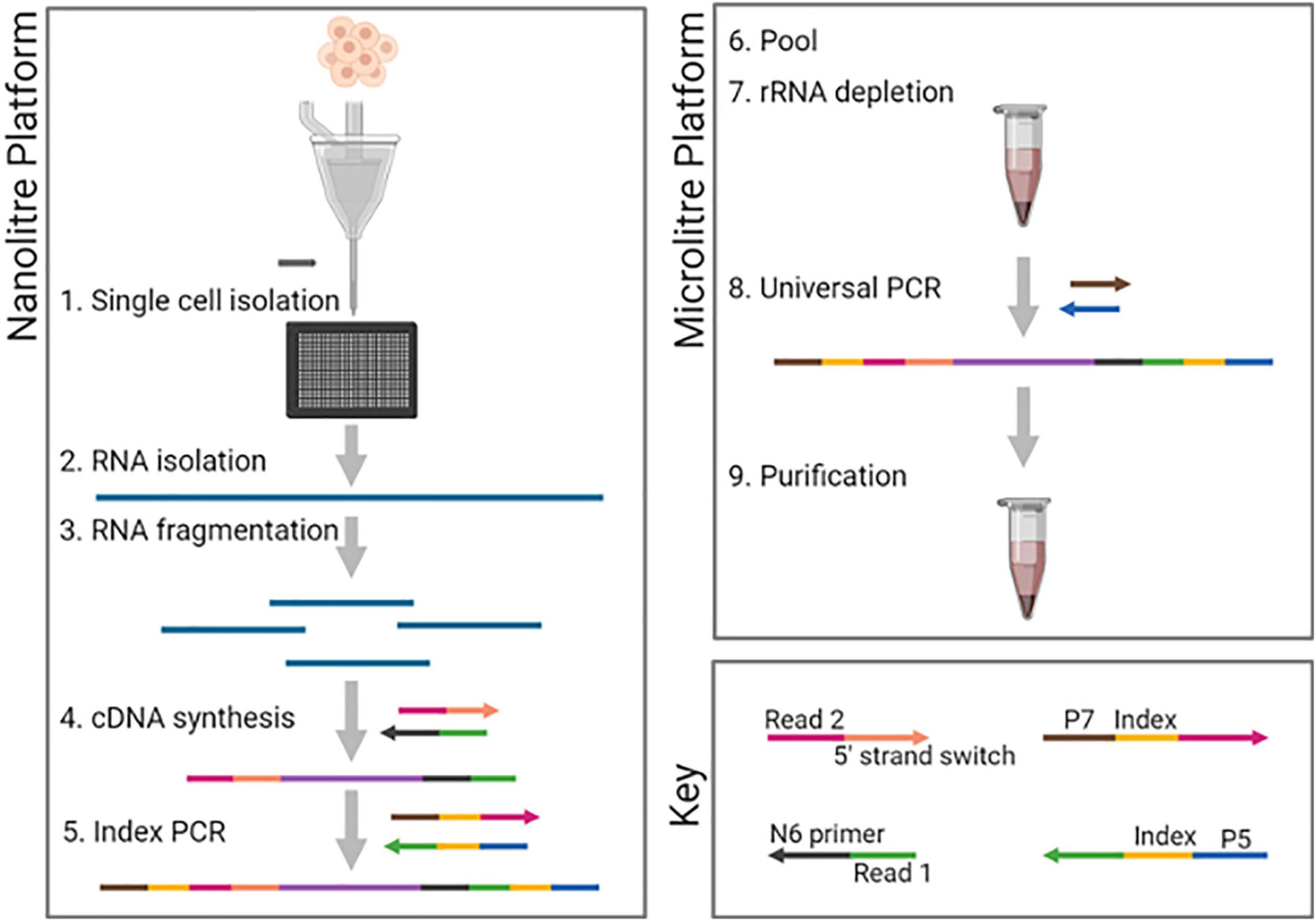 Microfluidic Platform for Next-Generation Sequencing Library Preparation  with Low-Input Samples