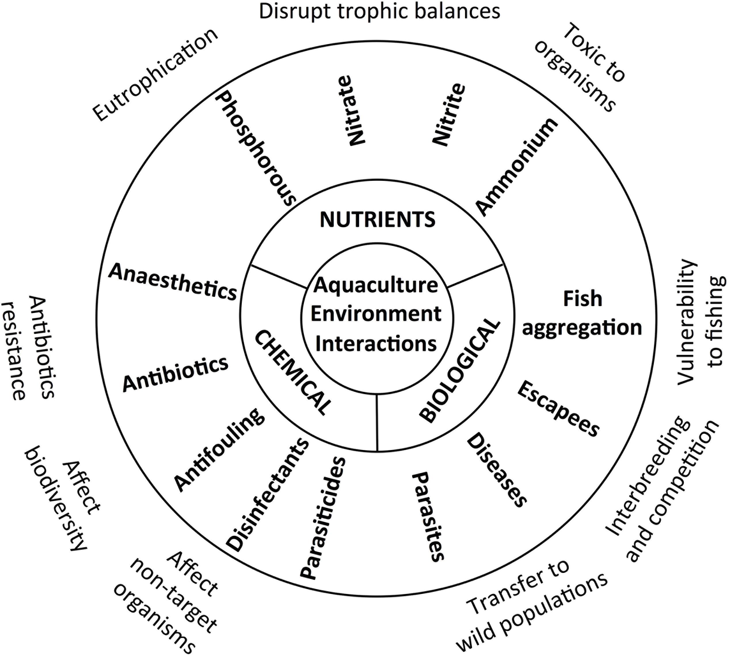 The Importance of CO2 Monitoring in Aquaculture for Optimal Growth Conditions  