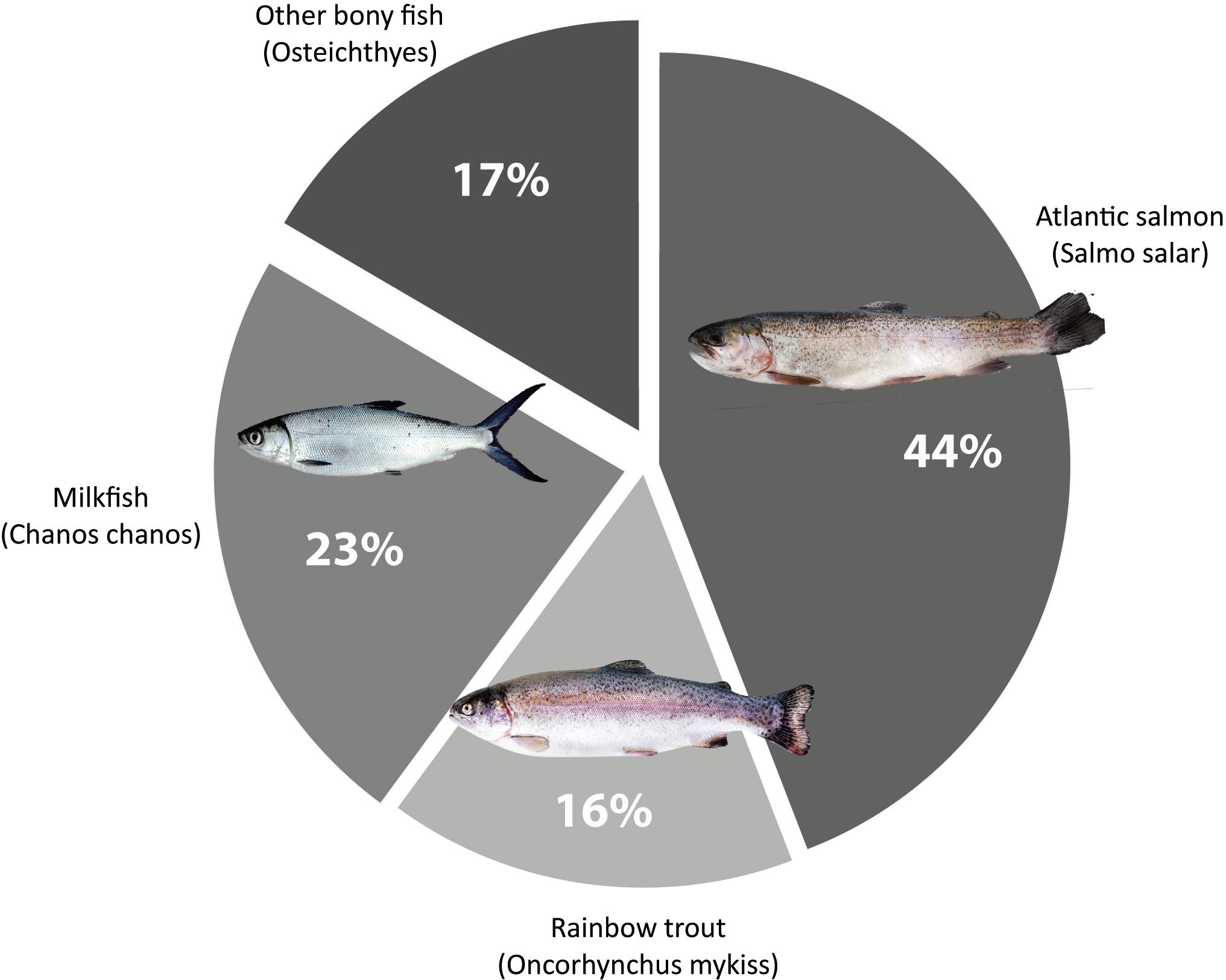 Fish: Fishing and fish farming in aquacultures - ProVeg International