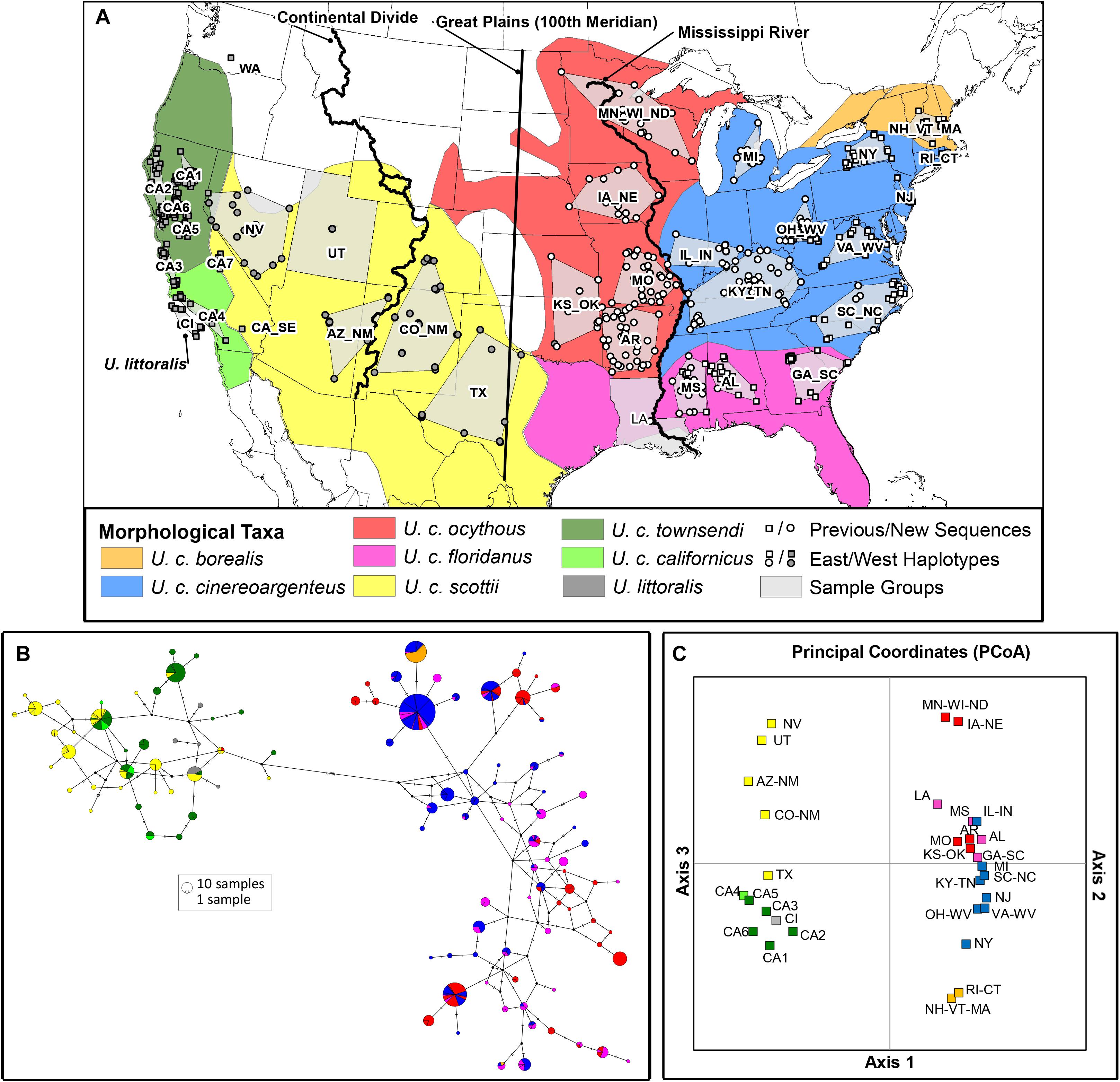 Frontiers Mitochondrial Genomes Of The United States Distribution Of