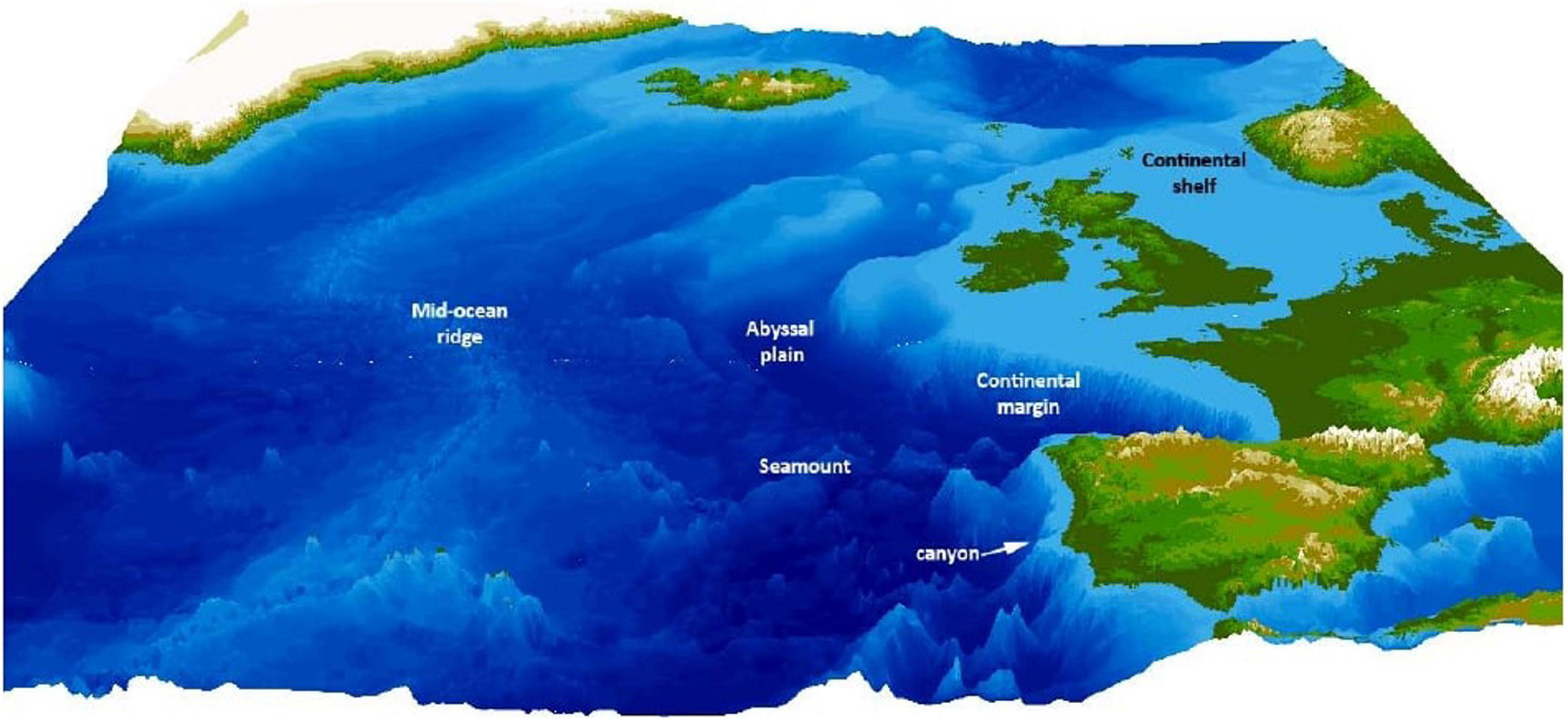 www.frontiersin.org