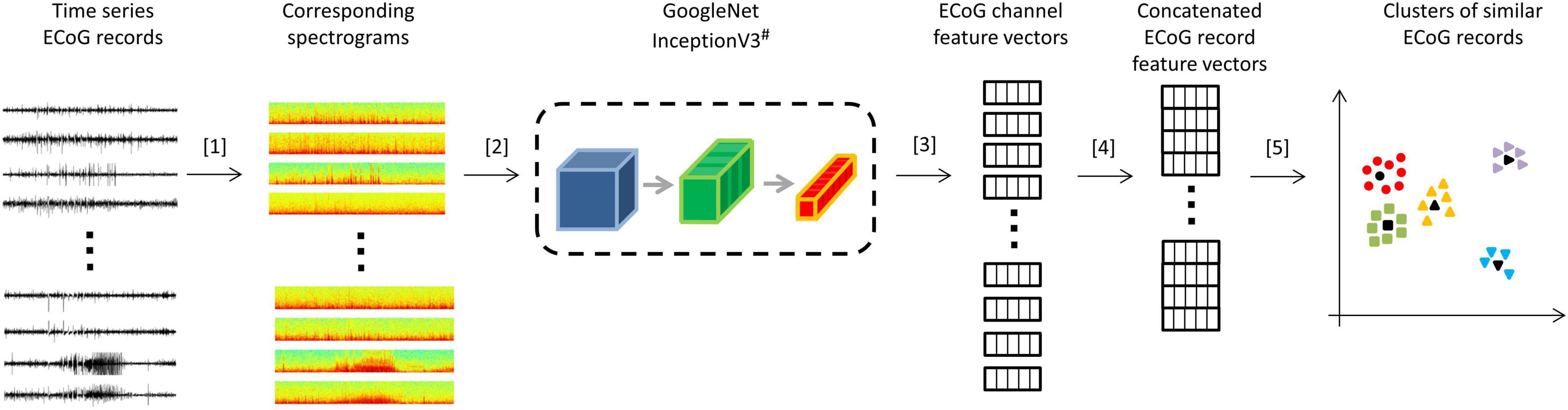 Frontiers | A High Accuracy Electrographic Seizure Classifier Trained ...