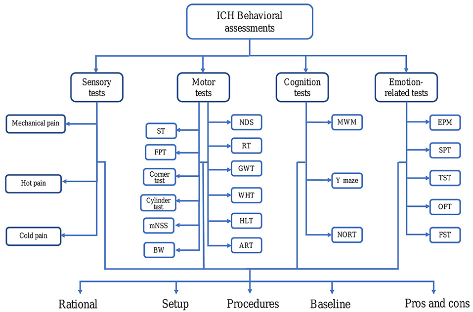 Hot Plate, Behavioral and Functional Neuroscience Laboratory