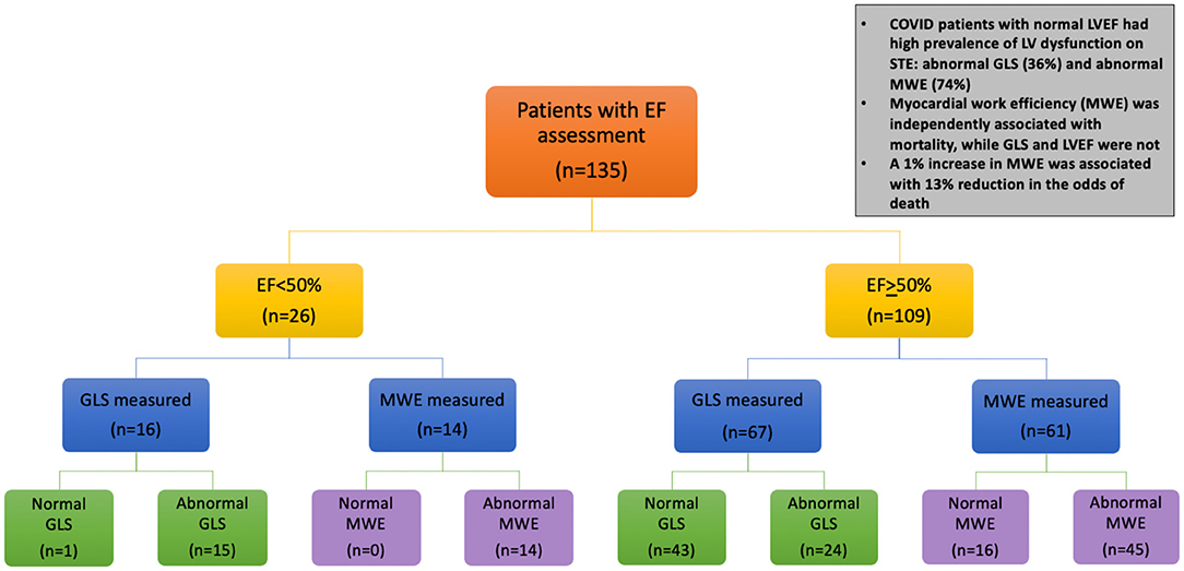 Frontiers  Myocardial Work Efficiency, A Novel Measure of Myocardial  Dysfunction, Is Reduced in COVID-19 Patients and Associated With  In-Hospital Mortality