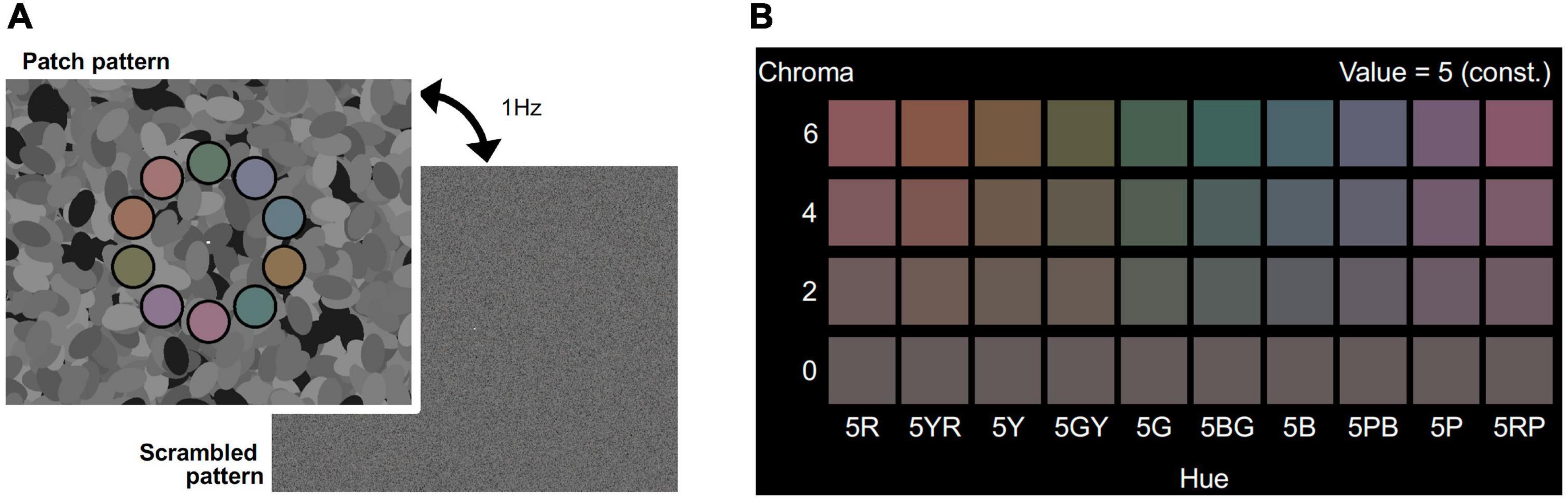 Color Table: Color & Perception Science Activity