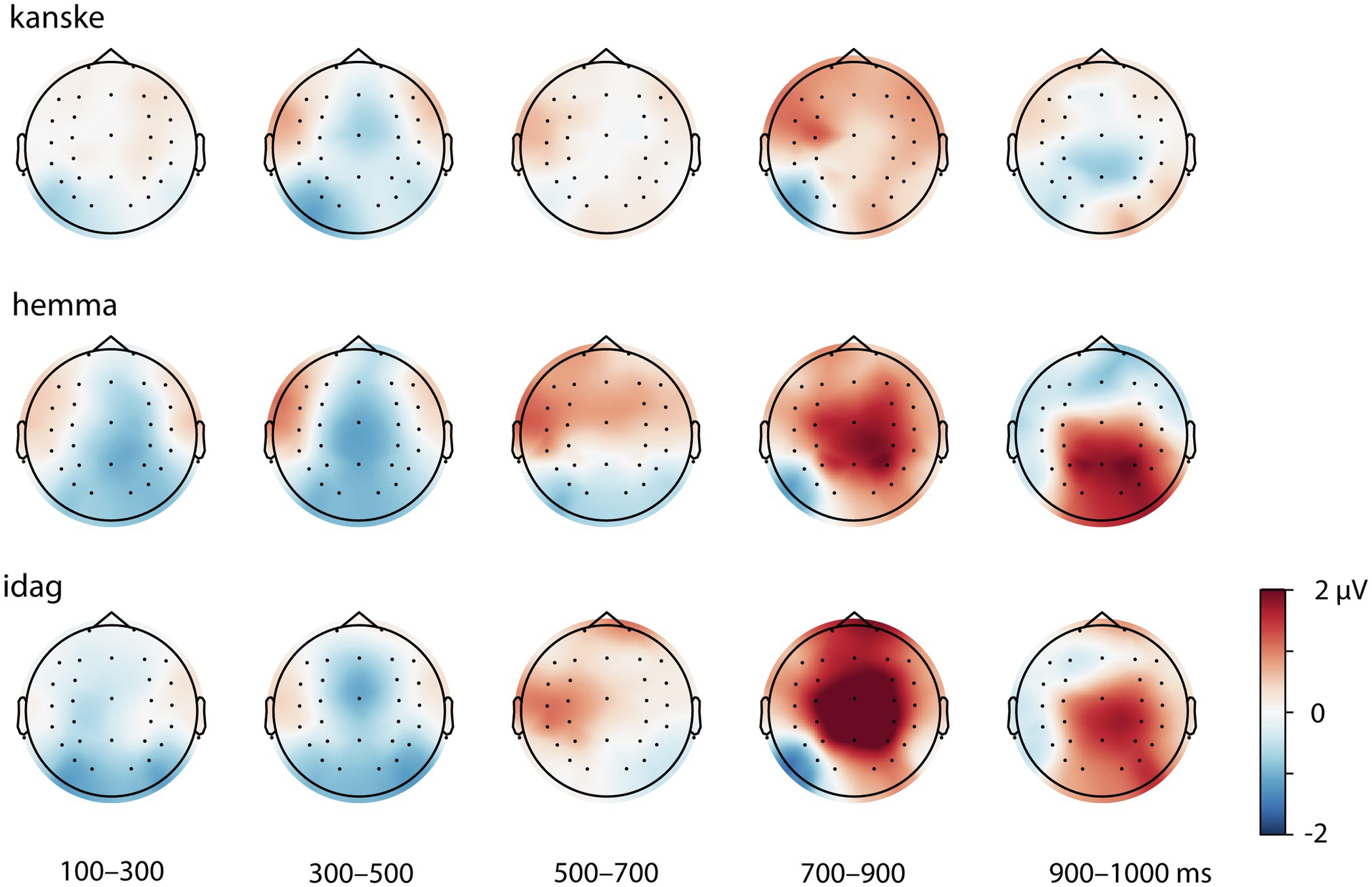 Native Word Order Processing Is Not Uniform: An ERP Study of Verb-Second Word Order