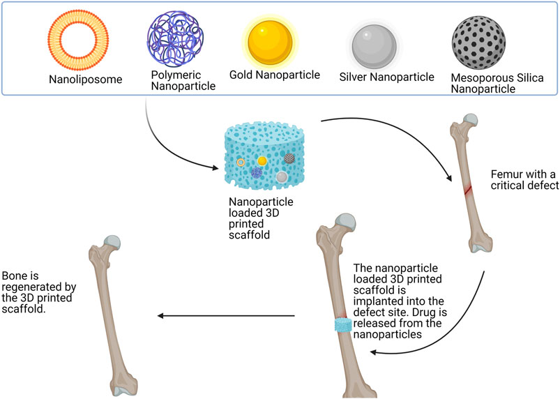 Tuning Cell Behavior on 3D Scaffolds Fabricated by Atmospheric