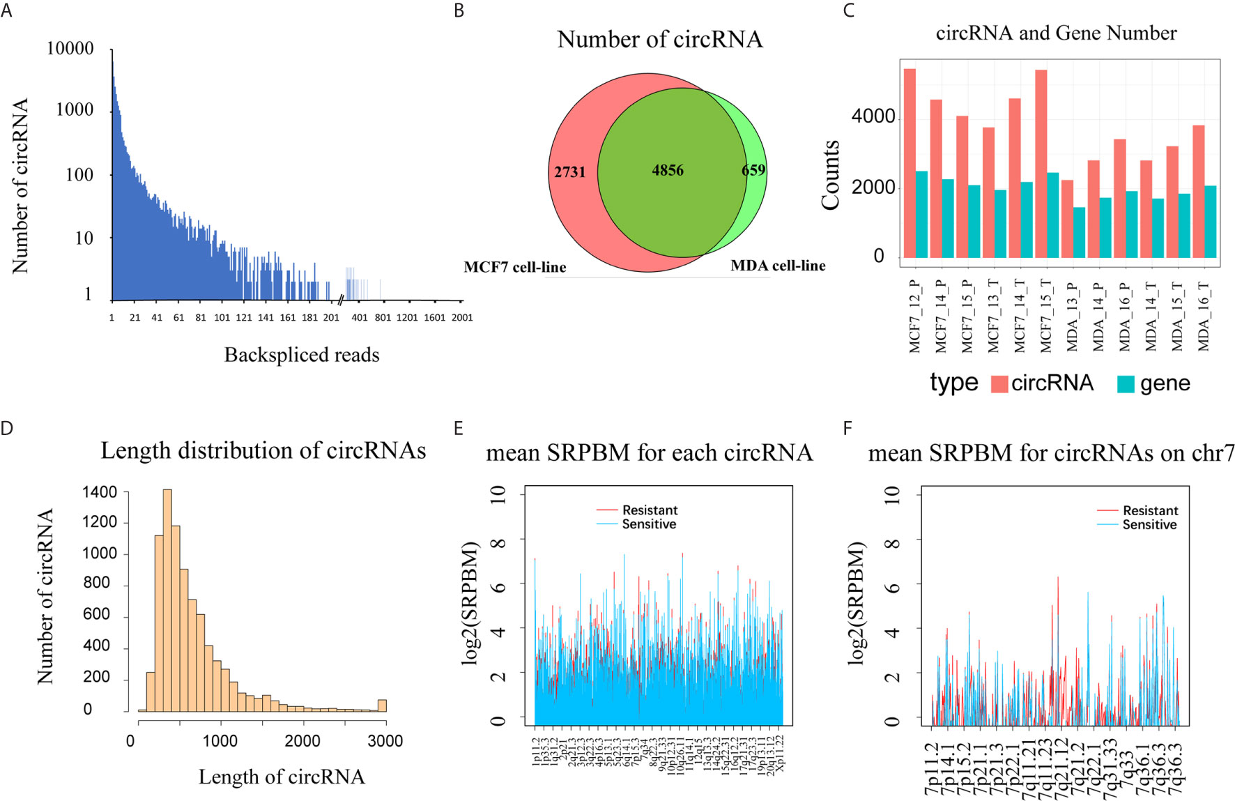 Frontiers | A Comprehensive RNA Study to Identify circRNA and 