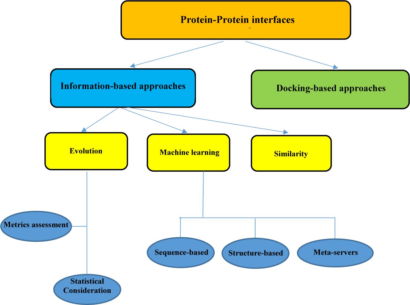 Frontiers  In silico Approaches for the Design and Optimization of  Interfering Peptides Against Protein–Protein Interactions