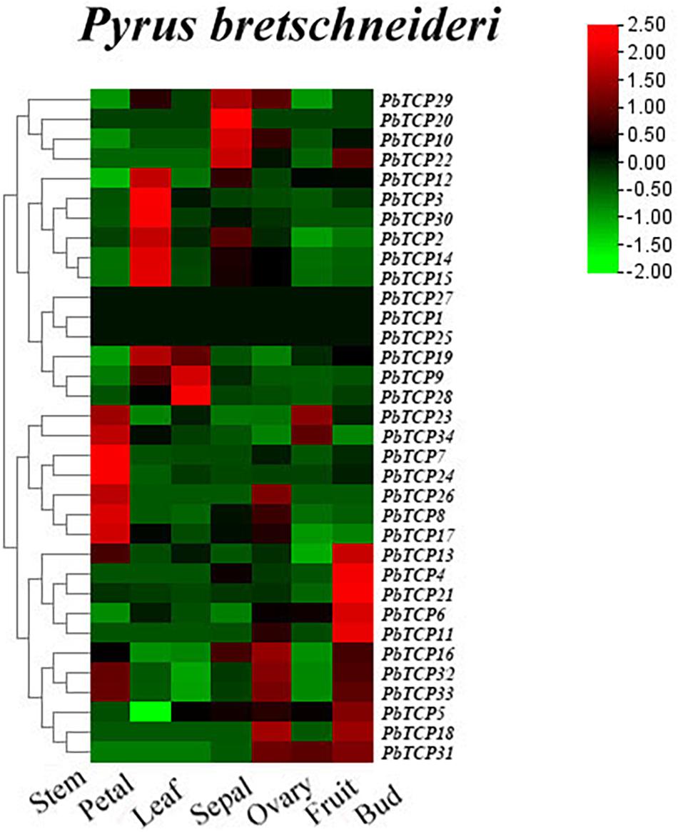 Genome-wide identification and comparative analysis of the heat shock  transcription factor family in Chinese white pear (Pyrus bretschneideri)  and five other Rosaceae species, BMC Plant Biology